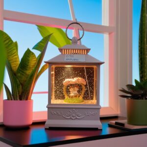 696- Mini Coupe in Home showcase with light and music