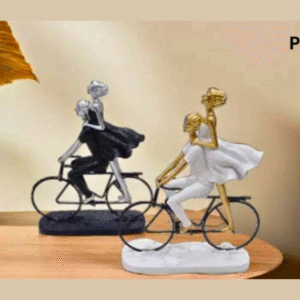 YS1005 Cycle Couple Showpiece
