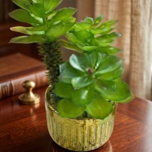 2012 (Artificial Green Succulent Plant in Premium Gold Pot)