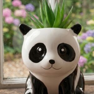 2020 (Cute Panda Planter with Artificial Succulent Plant)