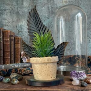 2056 (Rustic Botanical Succulent Planter with Artistic Leaf Accent)