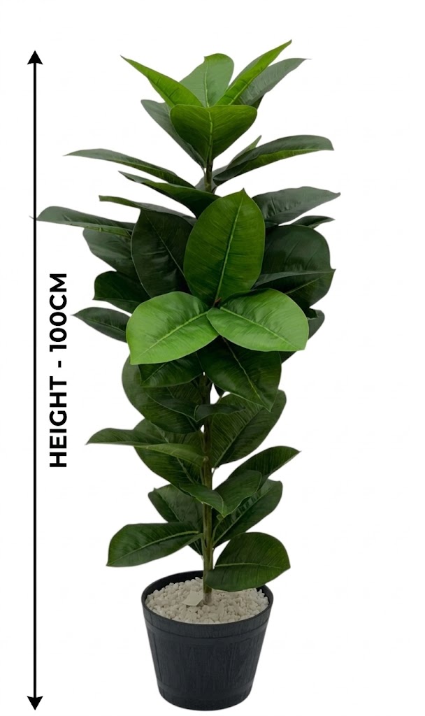 7248-3 (Elegant Artificial Rubber Plant) - Image 2