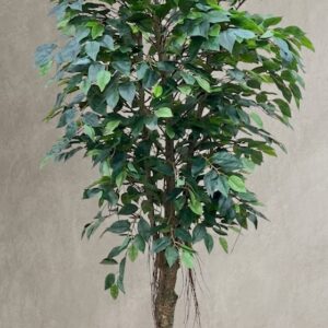 7298 (Premium Artificial Ficus Tree in Decorative Pot)