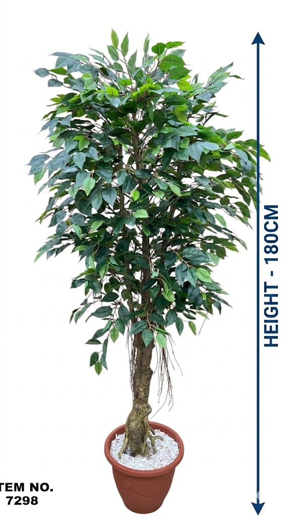 7298 (Premium Artificial Ficus Tree in Decorative Pot) - Image 2