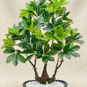 7373 (Umbrella Plant Style Mini Tree)