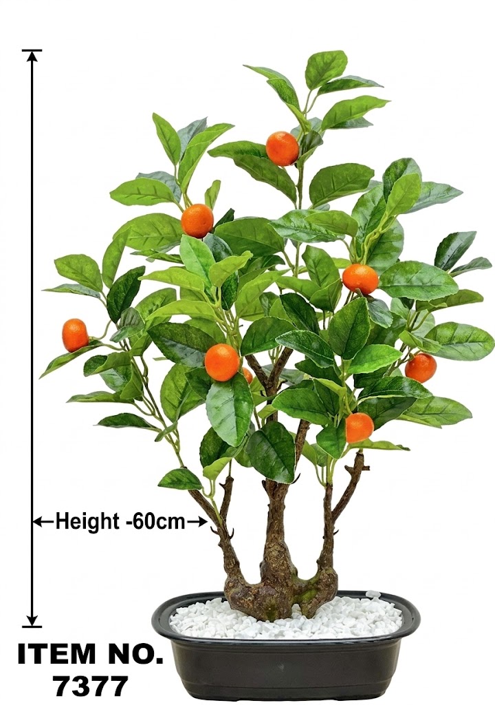 7377 (Orange Fruit Bonsai Plant (Decorative Citrus Tree) - Image 2