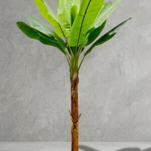 7393 (Banana Tree Plant Tall Tropical Decorative Plant)