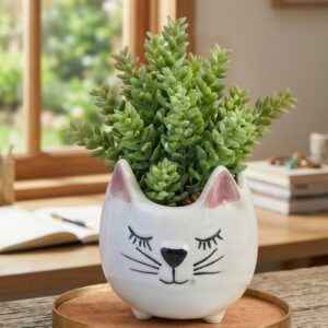 1020 (Whisker Bliss Succulent Planter)