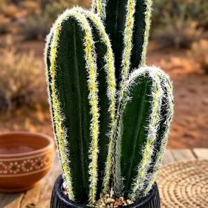 YS1975  ( Artificial Columnar Cactus Plant in Decorative Ribbed Pot ) ( PcsCtn.24 )
