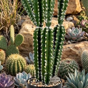 YS1978 ( Artificial Multi-Stem Desert Cactus Plant in Decorative Pot ) ( PcsCtn.6 )