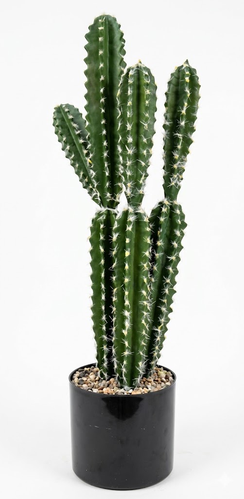 YS1978 ( Artificial Multi-Stem Desert Cactus Plant in Decorative Pot ) ( PcsCtn.6 ) - Image 2