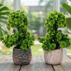 YS1987 ( Artificial Spiral Bonsai Topiary Trees in Decorative Ceramic Pots ) ( PcsCtn.48 )