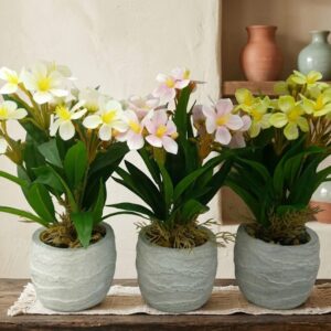 YS2000 ( Artificial Frangipani Flower Plant Arrangement in Decorative Textured Pot ) ( PcsCtn.36 )