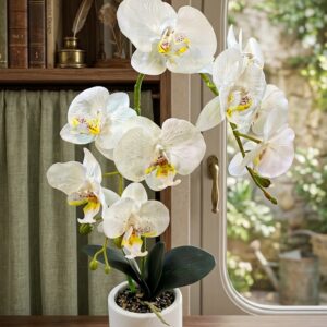 Artificial White Phalaenopsis Orchid Arrangement in Decorative Pot