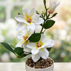 YS2104  ( Elegant White Magnolia Floral Arrangement in Textured Ceramic Bowl ) ( PcsCtn.40 )