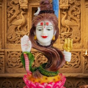 HS 323 ( Handcrafted Lord Shiva Face Idol with Trishul & Lotus Base )