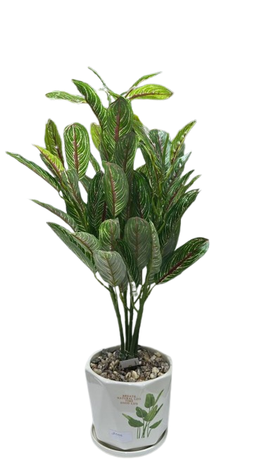 Artificial Green Calathea Plant in White Decorative Pot - Image 2