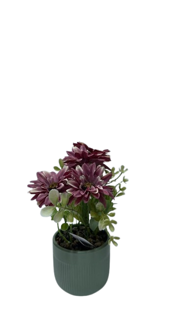2362 ( Artificial Burgundy Dahlia Flower Plant in Green Decorative Pot )