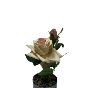 AR2005 ( Artificial Cream White Rose Flower Arrangement in Decorative Black Pot )