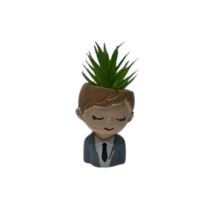 AR2016 ( Cute Boy Face Planter with Artificial Green Succulent Plant )