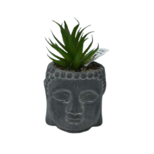 AR2027 ( Artificial Green Succulent Buddha Face Planter in Charcoal Grey Pot )