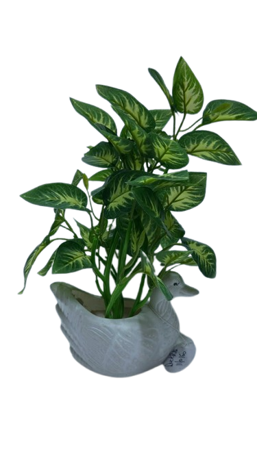 Duck Patta ( Artificial Green Duck Patta Plant in Decorative White Duck Planter )