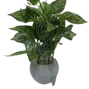 Artificial Green Fittonia Plant with Decorative Ribbed Grey Pot