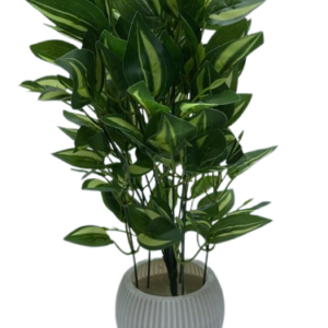 Artificial Green Melon Big Patta Plant in Decorative Ribbed Grey Pot