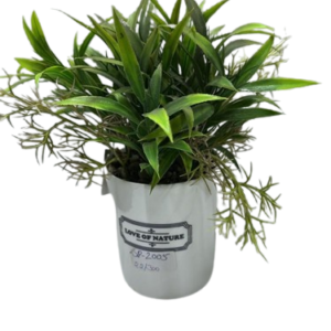 SP2005  ( Artificial Green Grass Bush Plant in White Decorative Pot )