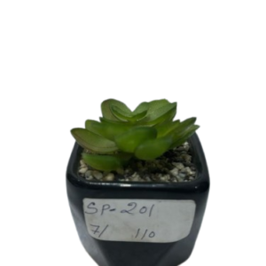 SP201 ( Premium Artificial Green Succulent Plant with Decorative Black Geometric Pot )