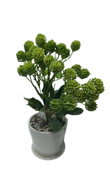 SP4209 ( Artificial Green Succulent Cluster Plant in White Decorative Pot )