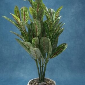 Artificial Green Calathea Plant in White Decorative Pot