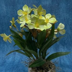 2000 ( Artificial Green Flower Plant in Decorative Grey Pot )